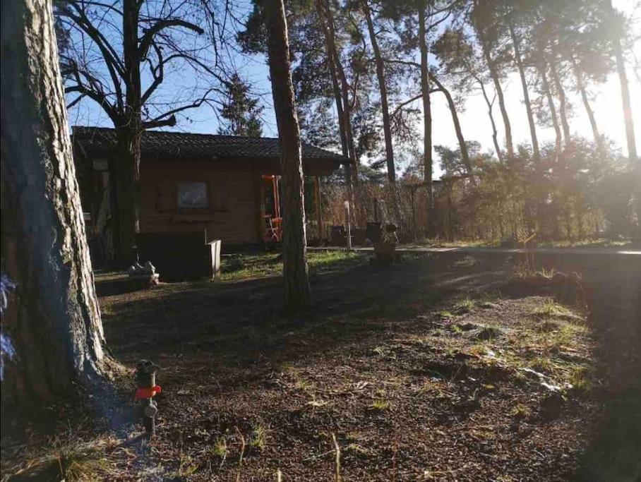 Haus Clemens - Gemuetliches Holzhaus Mit Grundstueck Villa Königs Wusterhausen Eksteriør bilde